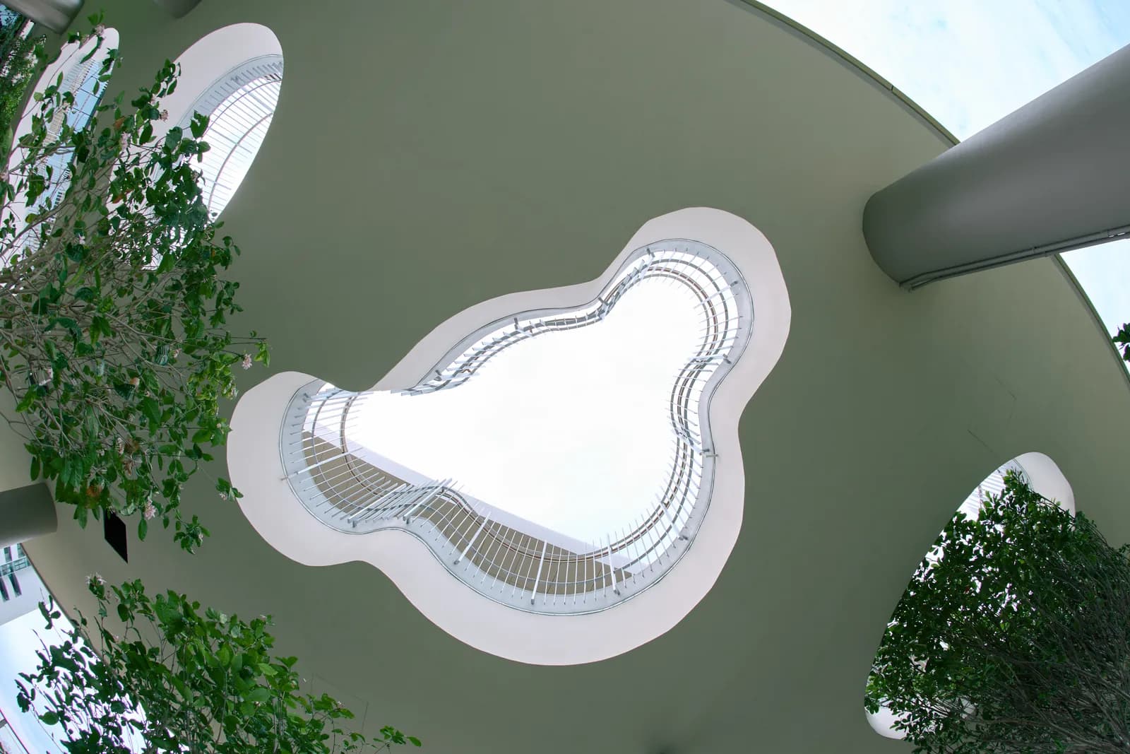 Curved skylight over the garden